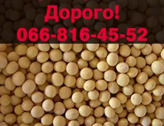 Зображення для оголошення Закуповую за найвищими цінами СОЮ