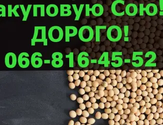Зображення для оголошення Закуплю СОЮ 2024 року Урожая!Дорого