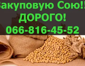 Зображення для оголошення Купую СОЮ у великих обсягах