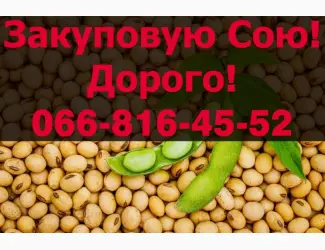 Зображення для оголошення На постійній основі закуповуємо СОЮ