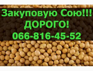 Зображення для оголошення Купуємо СОЮ!Дорого!Запрошуємо виробника до співпраці