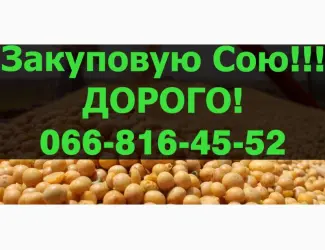 Зображення для оголошення Закуповую СОЮ в будь якій кількості!Дорого!Оплата на вагах