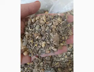 Підприємство Купує Половинки сої. Соєві відходи. Погнила