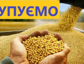 Закупаем сою постоянно самовывоз расчет на весах. НЕКОНДИЦИЯ