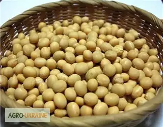 Зображення для оголошення Закупаем сою