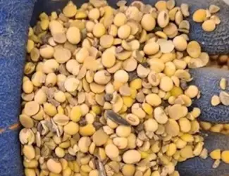 Купую половинки сої