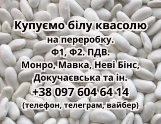 Зображення для оголошення Куплю квасолю білих сортів