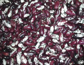 Зображення для оголошення ПРОДАМ квасоля ластівка