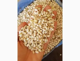 Зображення для оголошення Фасоль половинки