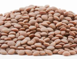 Зображення для оголошення Семена чечевицы красной Максим 1я репродукция (под гербицид)