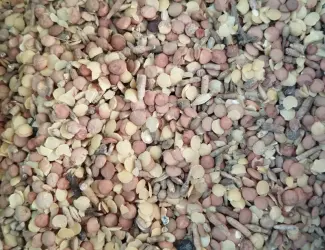 Зображення для оголошення Продам відходи сочевиці зеленої