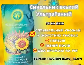 Зображення для оголошення Сортовий соняшник Синельниківський УльтраРанній (СУР)