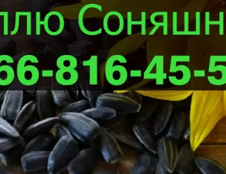 Зображення для оголошення Закуповую СОНЯШНИК у будь яких обємах