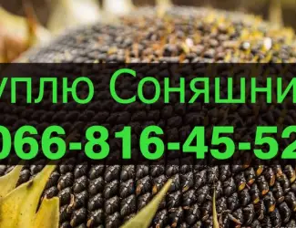 Зображення для оголошення Підприємство переробник