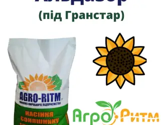Зображення для оголошення Насіння соняшника гібрид Альдазор