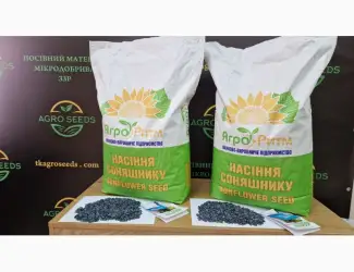 Зображення для оголошення Насіння Соняшника Альдазор Під Гранстар
