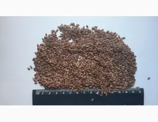 Льон 150 тонн. Хмельницька обл