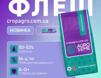 Зображення для оголошення Насіння Соняшника Флеш під гранстар