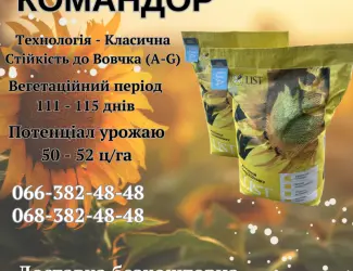 Зображення для оголошення Насіння соняшника КОМАНДОР 777 (Стандарт)(Екстра)