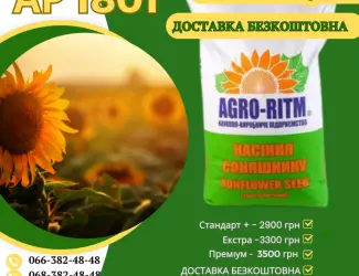 Зображення для оголошення Насіння соняшнику АР 1801 під гранстар