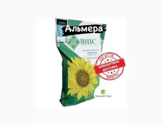 Зображення для оголошення АЛЬМЕРА насіння соняшнику