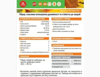 Зображення для оголошення Насіння соняшника Даглас (Екстра ) ( Екстра +) (Стандарт +) 2023 рік
