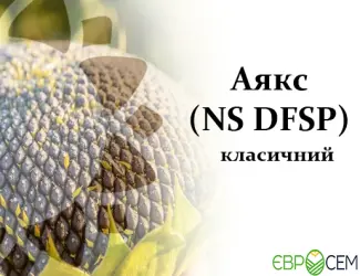 Насіння соняшника Аякс