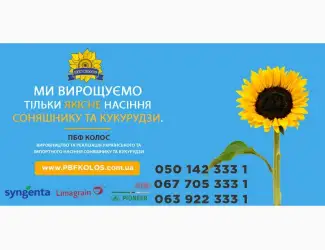 Зображення для оголошення Насіння виробника ПБФ "Колос"