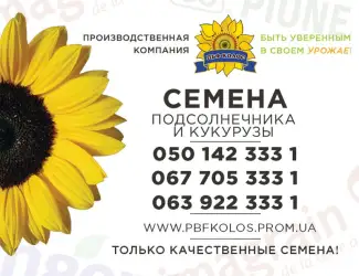 Зображення для оголошення Якісне насіння від виробника ПБФ «Колос»