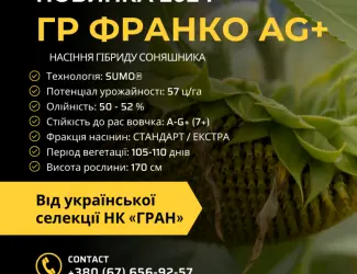 Зображення для оголошення Насіння соняшника під гранстар гібрид ГР Франко (105-110дн) Ціна від 3300грн/п.о