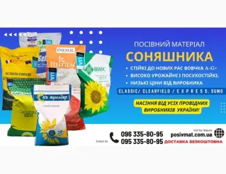 Зображення для оголошення 10% на посівний матеріал соняшника