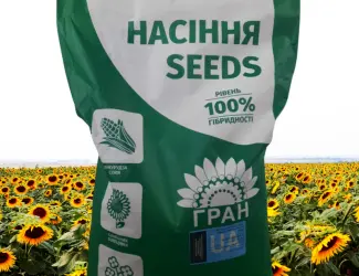 Зображення для оголошення Пропоную посівний матеріал соняшника під Євро-лайтнінг