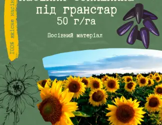 Зображення для оголошення Продам насіння соняшника під Гранстар (50г/га)