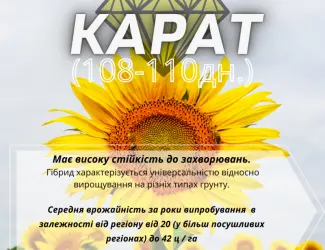 Зображення для оголошення Насіння соняшника гібрид Карат(SU)- стійкий до вилягання та посухи