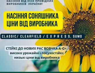 Зображення для оголошення Новинка!!! Насіння Соняшника Гібрид - УРБАН OR7 (SU)
