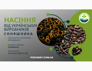 Зображення для оголошення Урбан OR7+ (105-110 дн.) під гранстар 50 гр/га