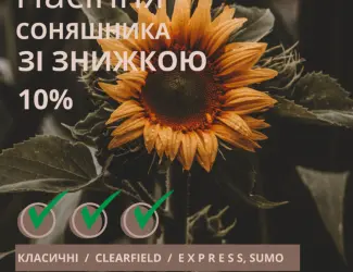 Зображення для оголошення Посівний матеріал соняшника Гібрид ФеніксOR7