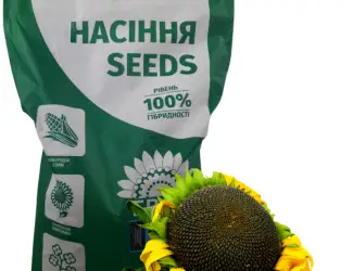 Зображення для оголошення Насіння соняшника гібрид КАРАТ (108-110дн.) гранстаростійкий