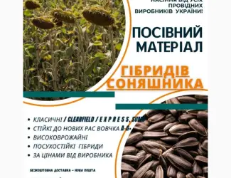 Зображення для оголошення Посівний матеріал соняшника та кукурудзи