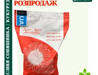 Зображення для оголошення Насіння соняшника під гранстар 50 гр/га