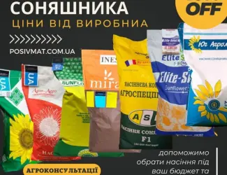 Зображення для оголошення Насіння СОНЯШНИКА за цінами від виробника