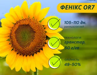 Зображення для оголошення ФЕНІКС OR7