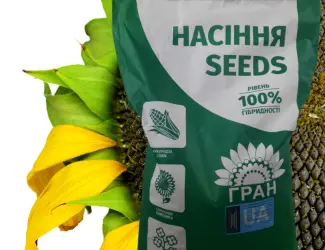 Зображення для оголошення Посівний матерал соняшника