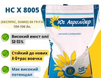 Зображення для оголошення Насіння соняшника НС Х 8005 (Експрес