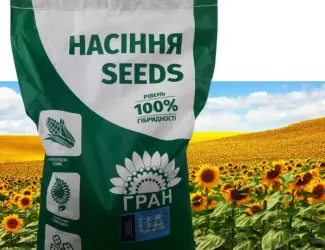 Зображення для оголошення Насіння соняшника під євролайтнінг гібрид - Грізлі 100-107дн.