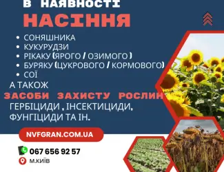 Зображення для оголошення Все для посіву НАСІННЯ