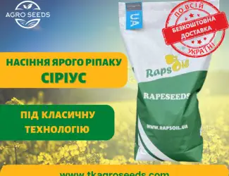 Зображення для оголошення Насіння Ярого ріпаку гібрид Сіріус ( БЕЗ ГМО!) / Ярий ріпак Сіріус