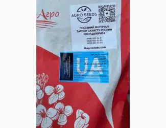 Зображення для оголошення Насіння озимого ріпаку ГІБРИД ЛАМБЕР