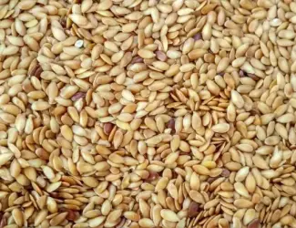 Продам льон Золотистий