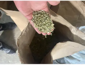 Зображення для оголошення Продам тыквенные семочки бой на масло